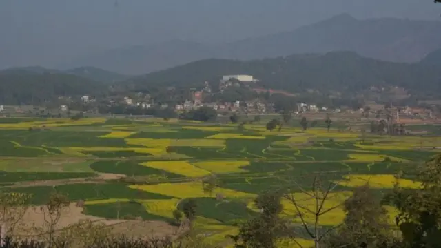 नेपालमा क्षेत्रअनुसार जग्गाको हदबन्दी फरक रहेको छ