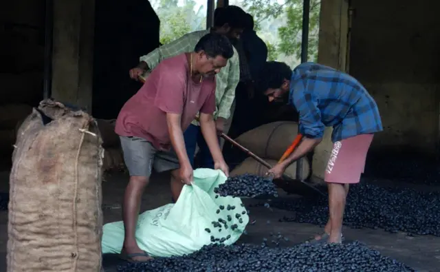 కోనసీమ, జీడి గింజలు