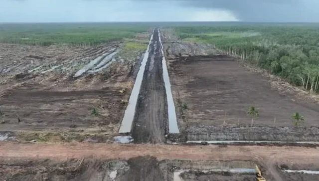 Proyek pengembangan pangan dan energi di Merauke, Papua Selatan.