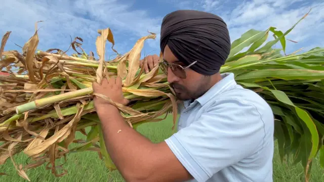ਦਵਿੰਦਰ ਸਿੰਘ