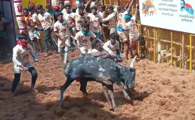 அவனியாபுரம் ஜல்லிக்கட்டு: 22 காளைகளை பிடித்தவருக்கு கார் பரிசு - முழு விவரம்