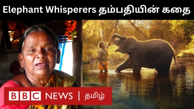 தி எலிஃபன்ட் விஸ்பரர்ஸ் தம்பதியின் கதை