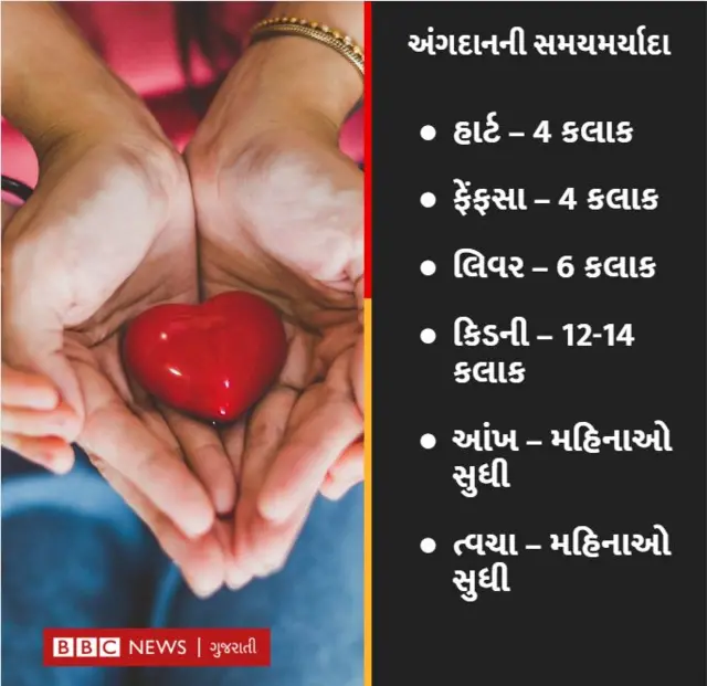 અંગદાનની સમયમર્યાદા