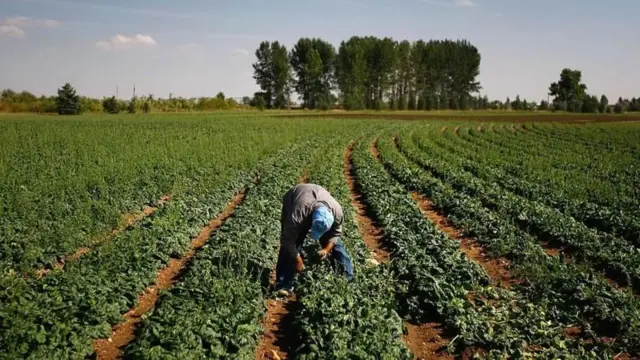 மெக்னீசியம்