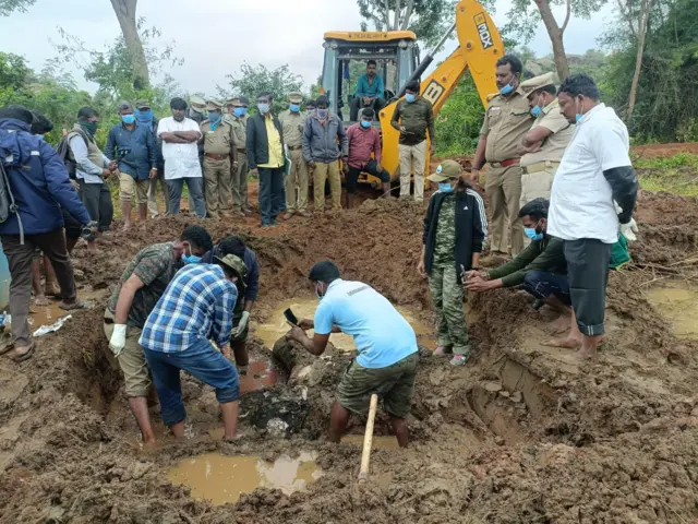 குட்டி யானை பலி