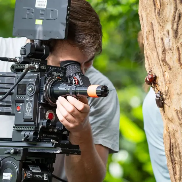 장수풍뎅이를 가까이서 촬영하는 카메라맨