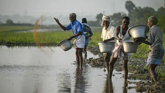 நெல் உற்பத்திக்கான ஊக்கத்தொகையை மத்திய அரசு நிறுத்தச் சொல்கிறதா? ஸ்டாலின் கூறுவது என்ன?