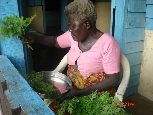 Waggoota kurnaniin lakka'amuuf Boha Siiniyeer nama Afaan Bo dubbatu qofa turte