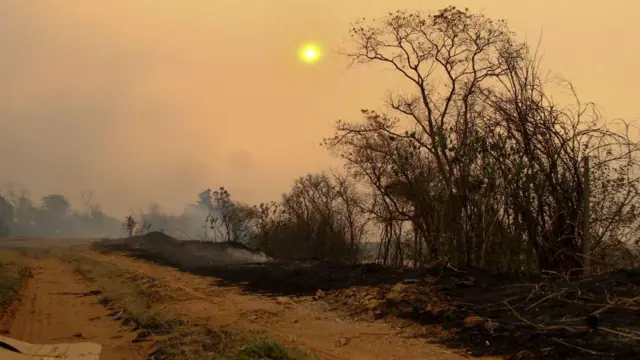 Uma área afetada por incêndios florestais é retratada próximo à rodovia SP-215 em São Carlos, no Estado de São Paulo, em 23 de agosto