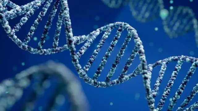 Ilustração de uma espiral de DNA em primeiro plano, com duas outras mais atrás, sobre fundo azul