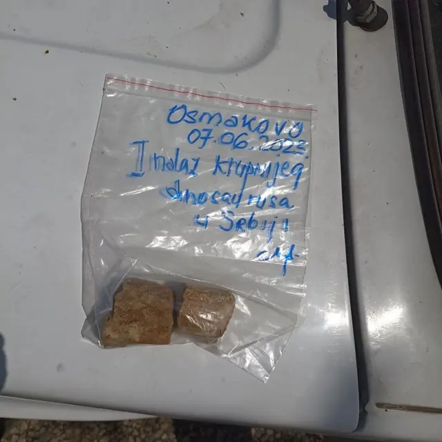 Prvi nalaz sauropoda