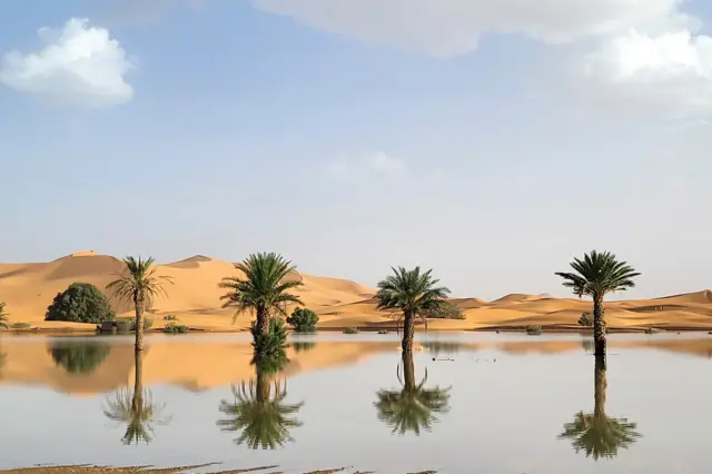 Árvores refletidas no acúmulologo pagbetágua no deserto do Saara