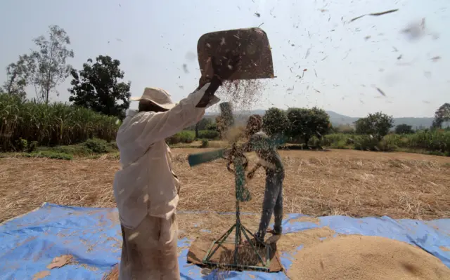 खेत में काम करते किसान