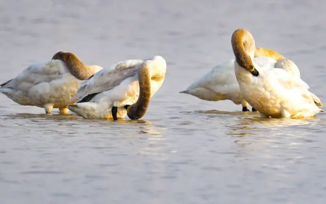 प्रातिनिधिक फोटो