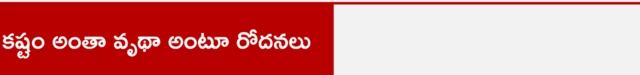 కష్టం అంతా వృథా అంటూ రోదనలు