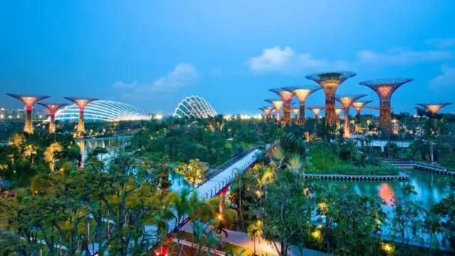 प्रातिनिधिक फोटो