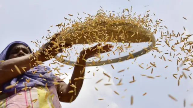 ਝੋਨਾ