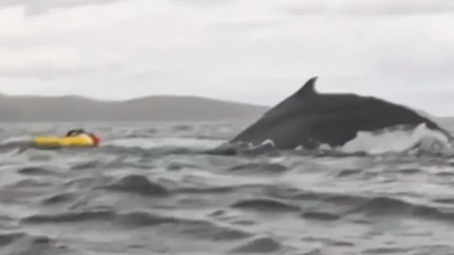 Кадры из видео