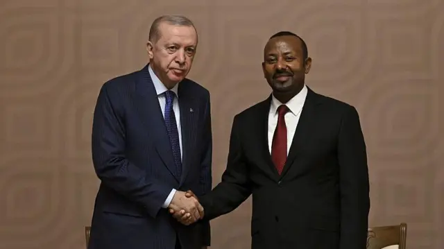 Erdoğan ve Etiyopya Başbakanı Abiy Ahmed el sıkışıyor.