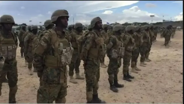 Ciidanka dowladda Soomaaliya
