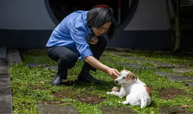 چین، تائیوان، سائی انگ وین