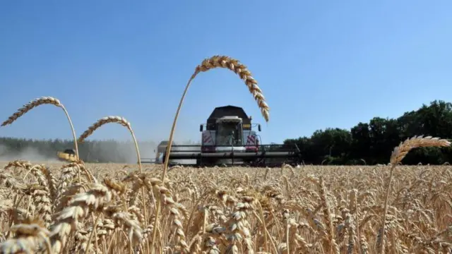 земельна реформа, поле