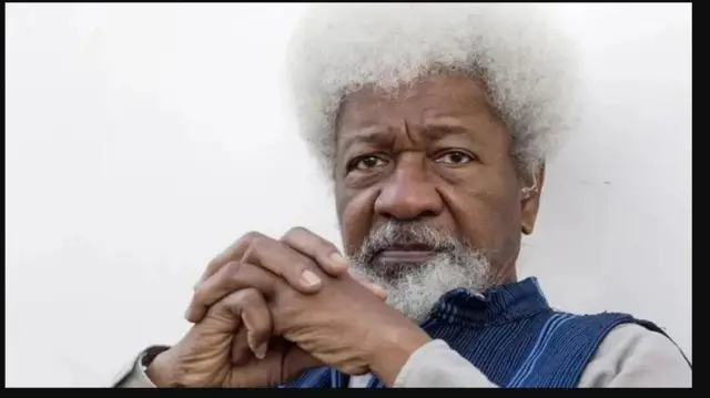 Aworan Ọjọgbọn Wole Soyinka