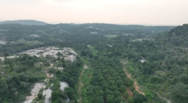 అటవీ భూములు, ఏపీ