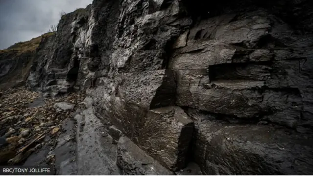 Les falaises d'argile Kimmeridge du Dorset étaient autrefois la toile de fond des mers chaudes du Jurassique