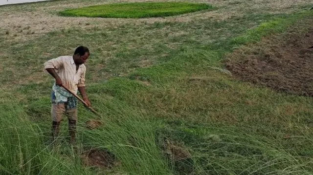 खेतमा किसान