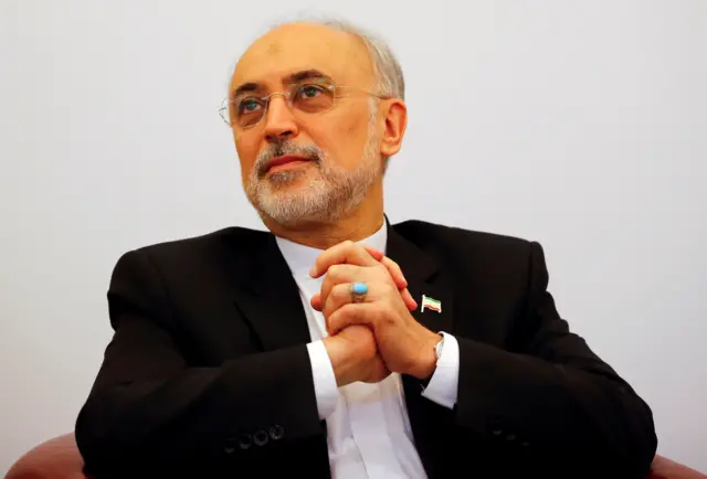 علی اکبر صالحی، رئیس سازمان انرژی اتمی ایران