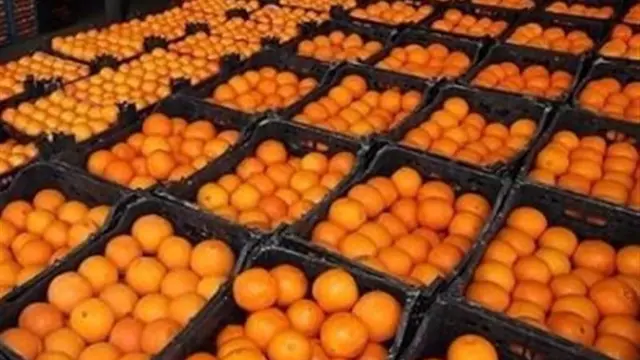 پرتقال