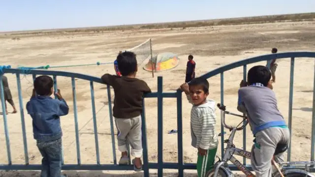 هامون