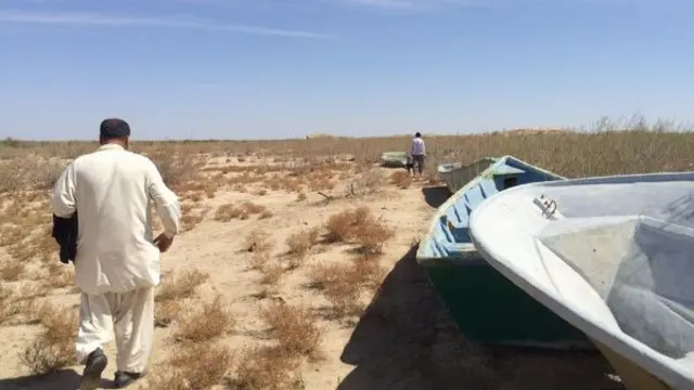 هامون
