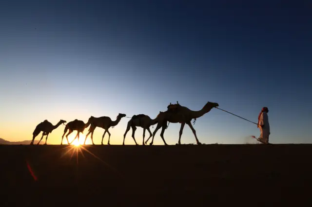 تقول السلطات السعودية إنها تتمتع بأماكن وعوامل جذب كبيرة خاصة رحلات السفاري في الصحراء.