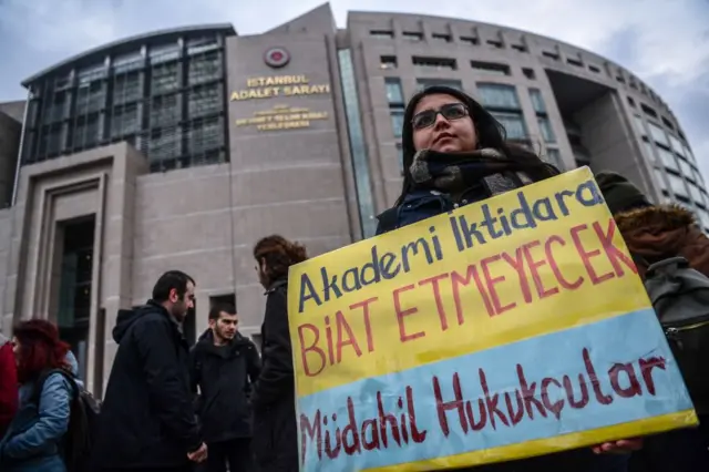 Akademisyenler