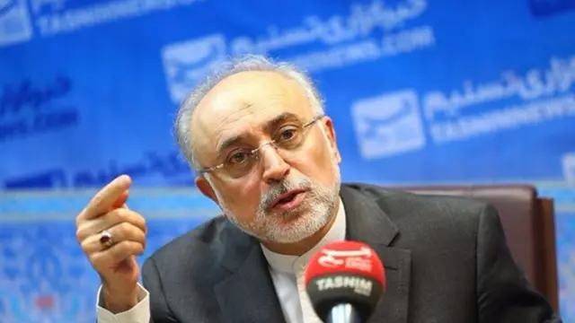 علی اکبر صالحی، رئیس سازمان انرژی اتمی ایران