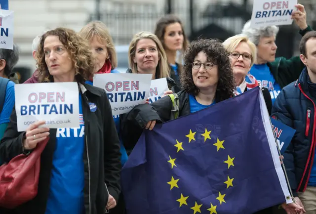 Протестующие против "брексита" у Даунинг стрит, 10