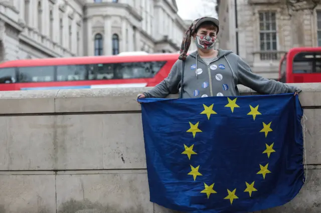 Протестующие против "брексита" у Даунинг стрит, 10