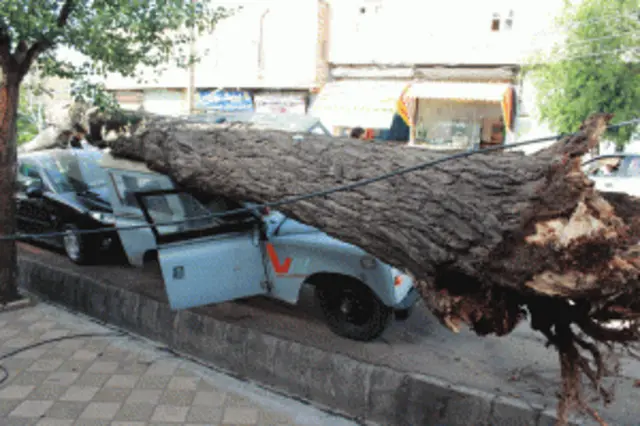 طوفان مشگین‌شهر