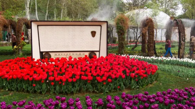 جشنواره لاله های البرز برای پنجمین سال متوالی در حال برگزاری است