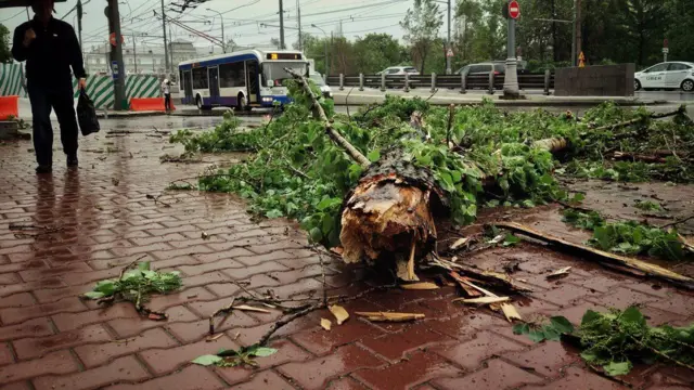 Последствия урагана в Москве