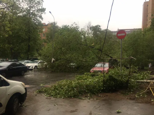Последствия урагана в Москве