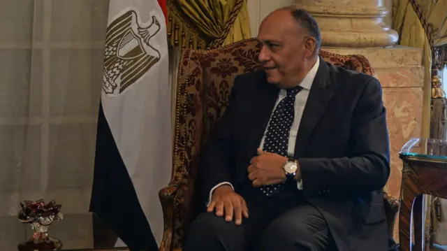 وزير الخارجيية المصري سامح شكري