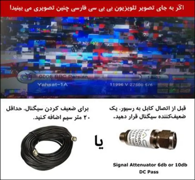 پارازیت