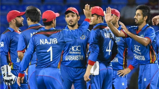 کریکت