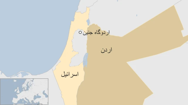 جنین