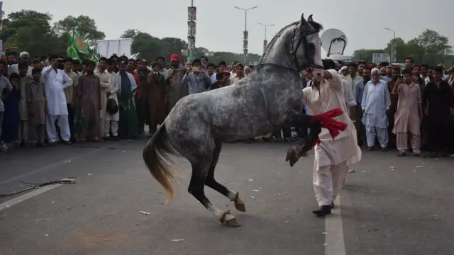 نواز