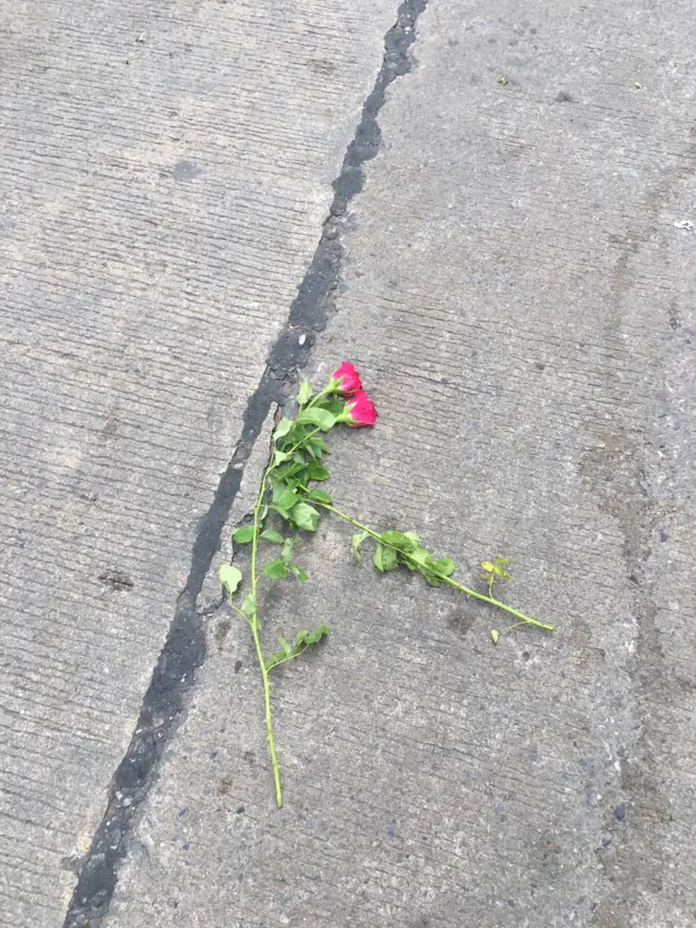 ดอกไม้ถูกทิ้ง