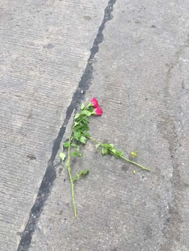 กุหลาบหล่นพื้น